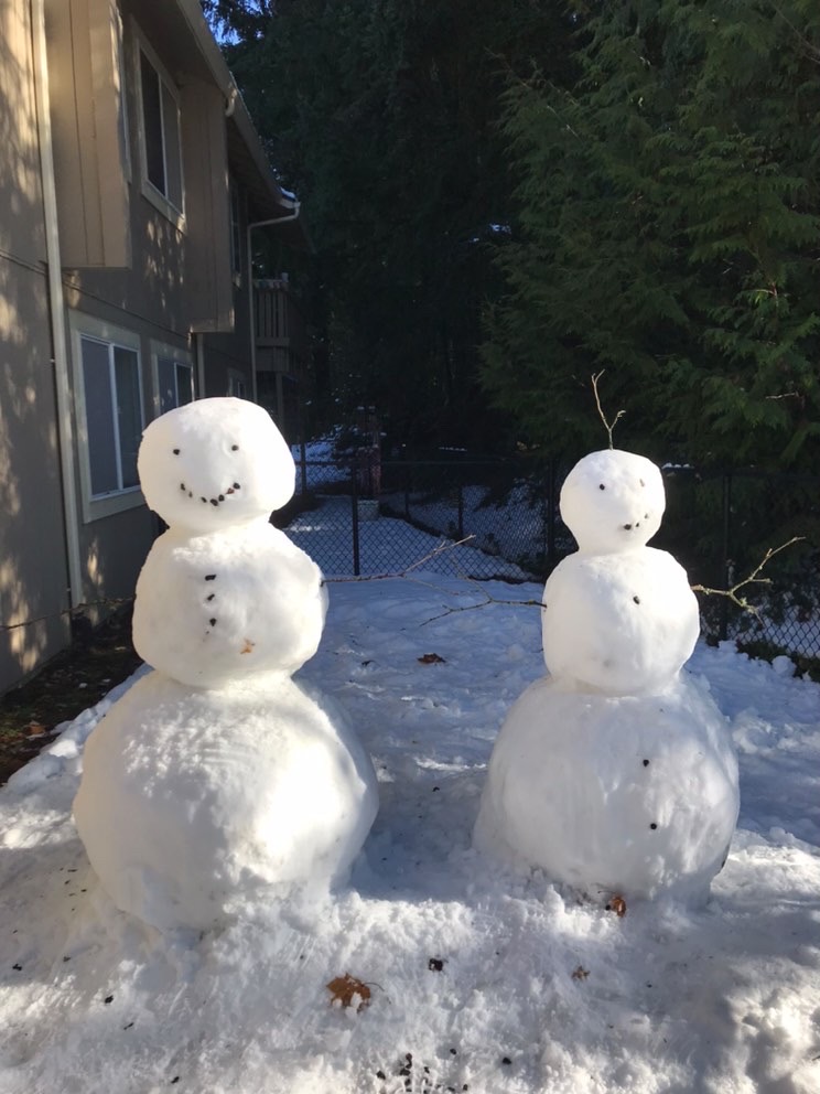 Christmas/Winter Spirit around Lake Stevens