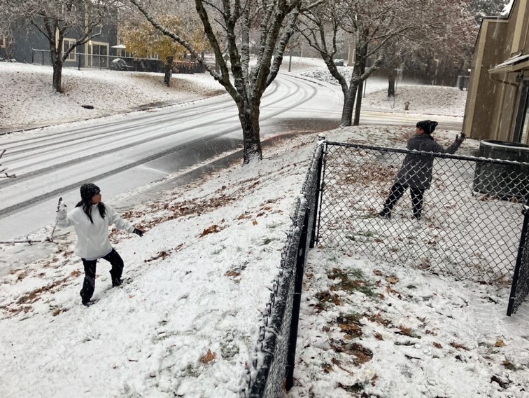 Christmas/Winter Spirit around Lake Stevens