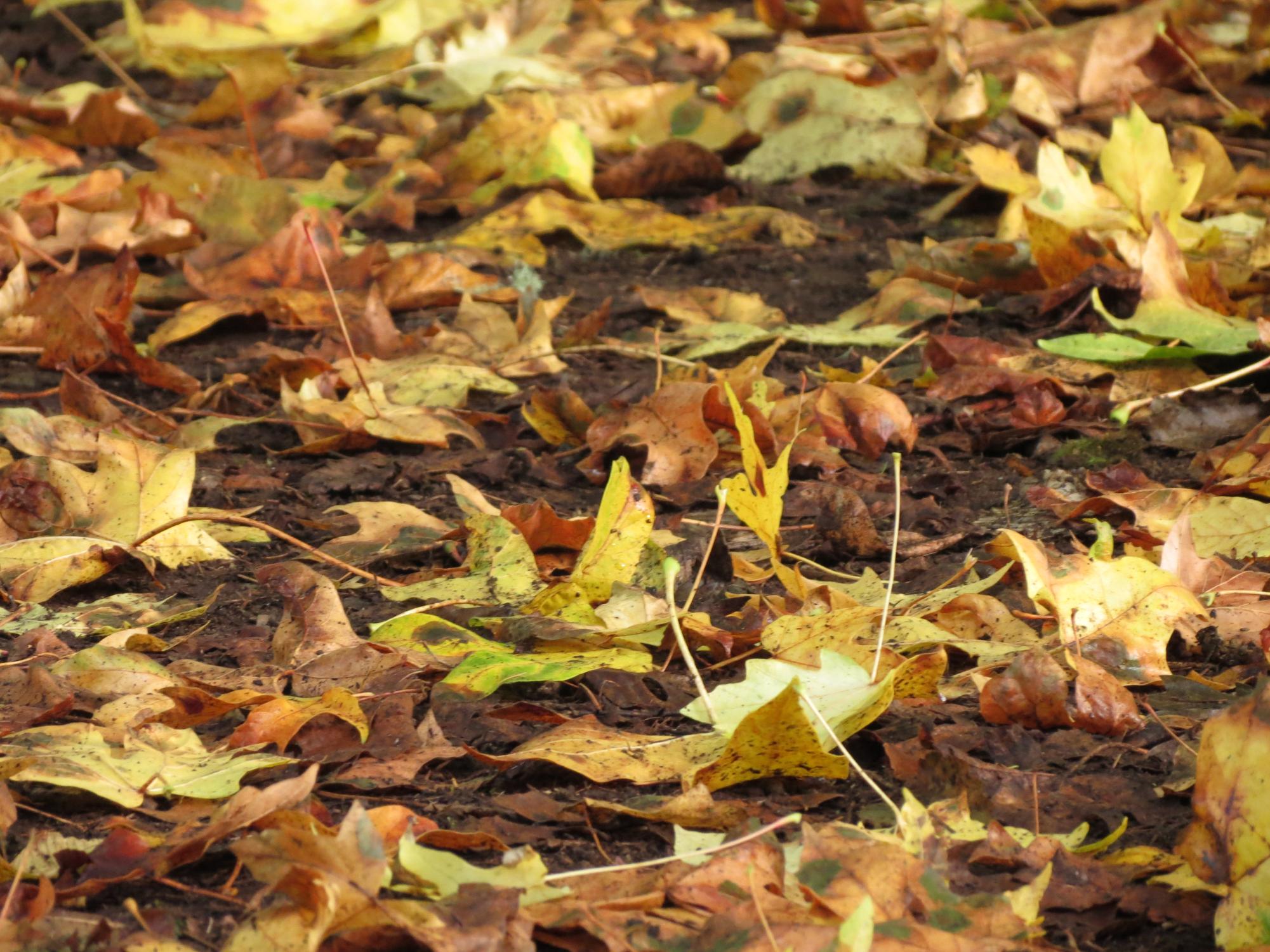 Natural Beauty of Washington State: The October Gallery