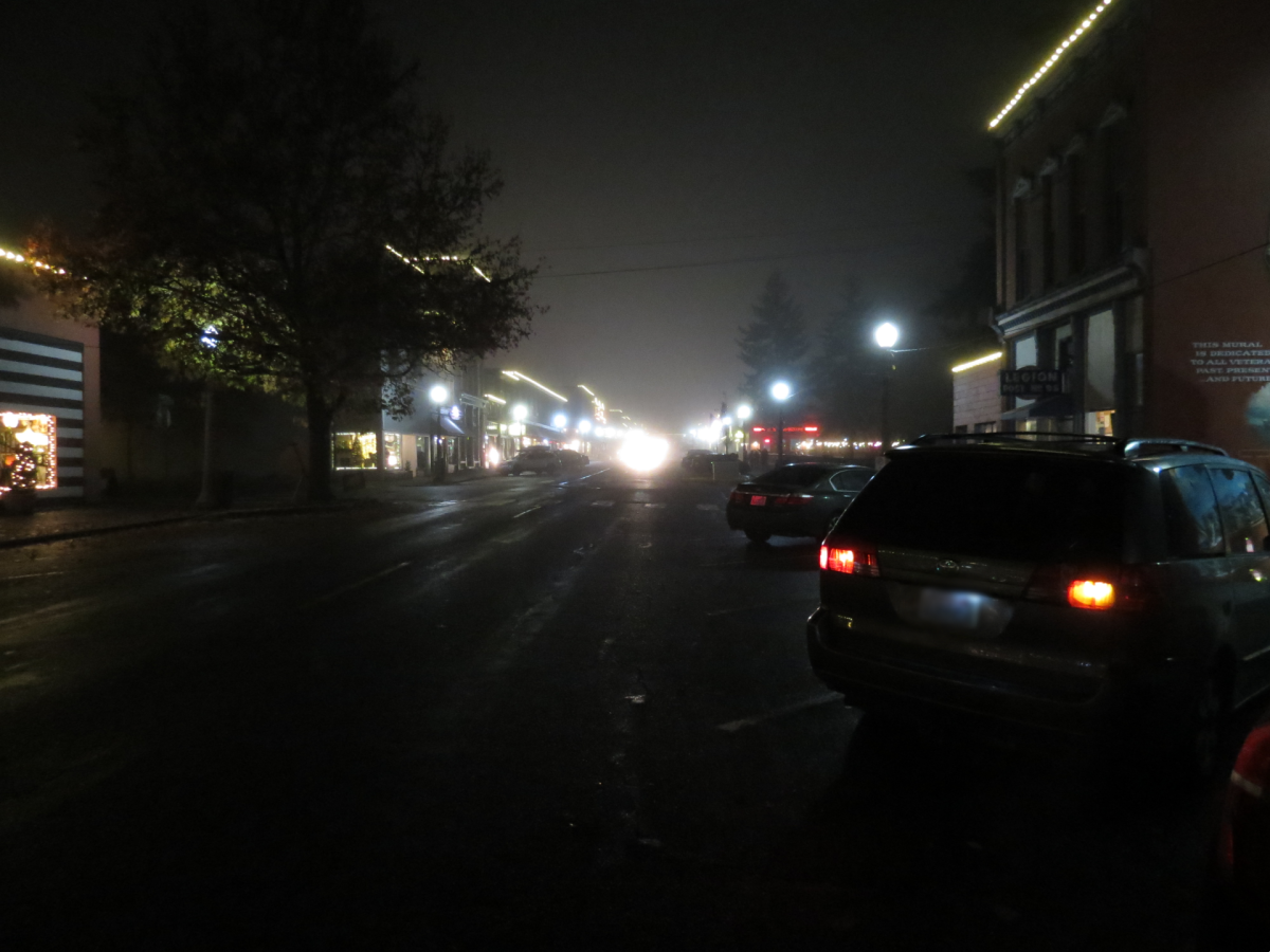 Street lights in the dark in Snohomish, WA.