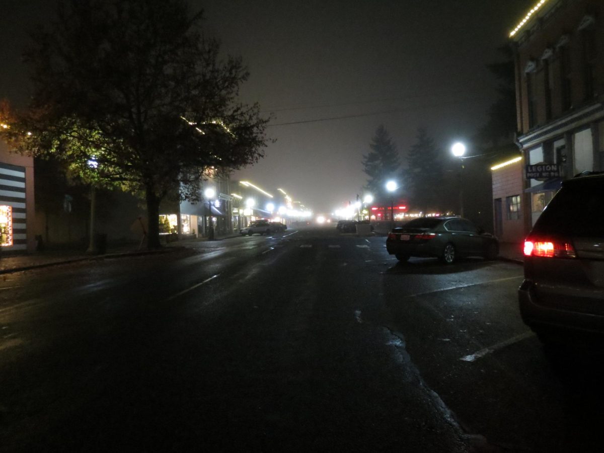 Street lights in the dark in Snohomish, WA