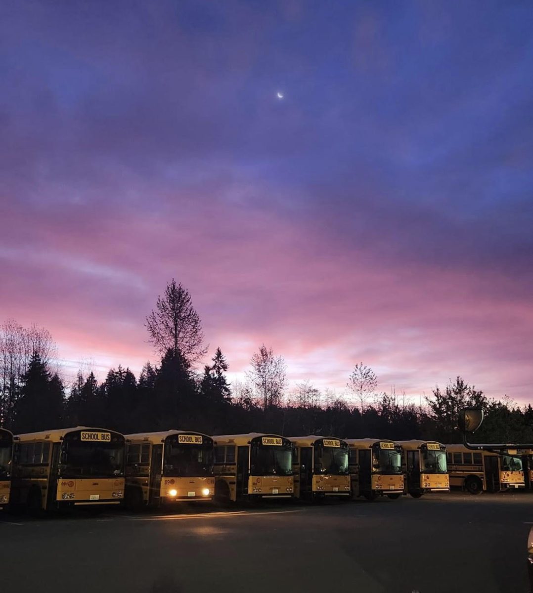 Lake Stevens school buses at the bus barn in the early morning. 