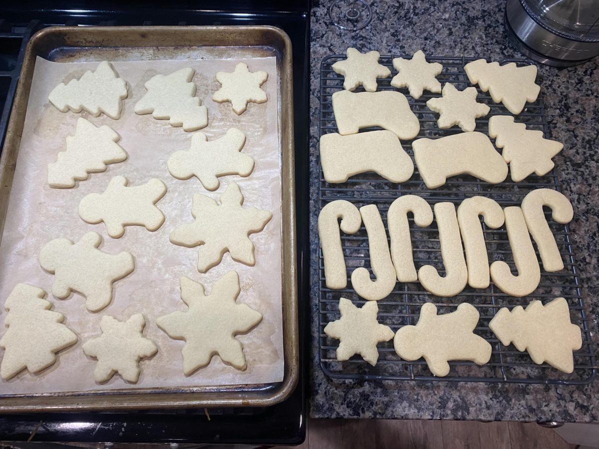 December 1st, 2023, 3:17 PM -
29 sugar cookies shaped, baked, and cooled for the sole purpose of later decoration and even later distribution. To ensure the icing and sprinkle decorations don’t melt off the cookies, they have to cool for an hour or so.
