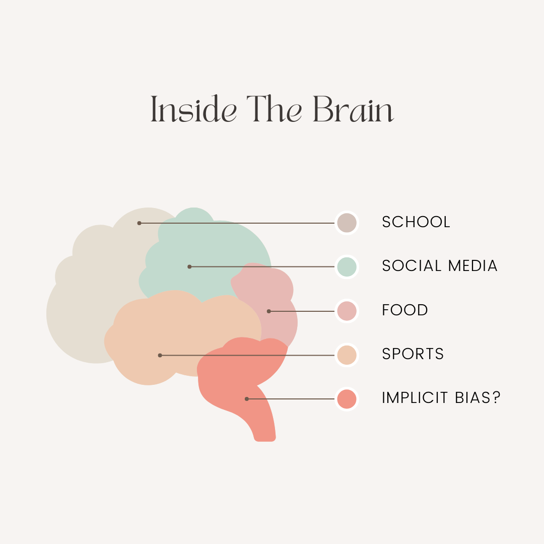 The (Teenage) Brain